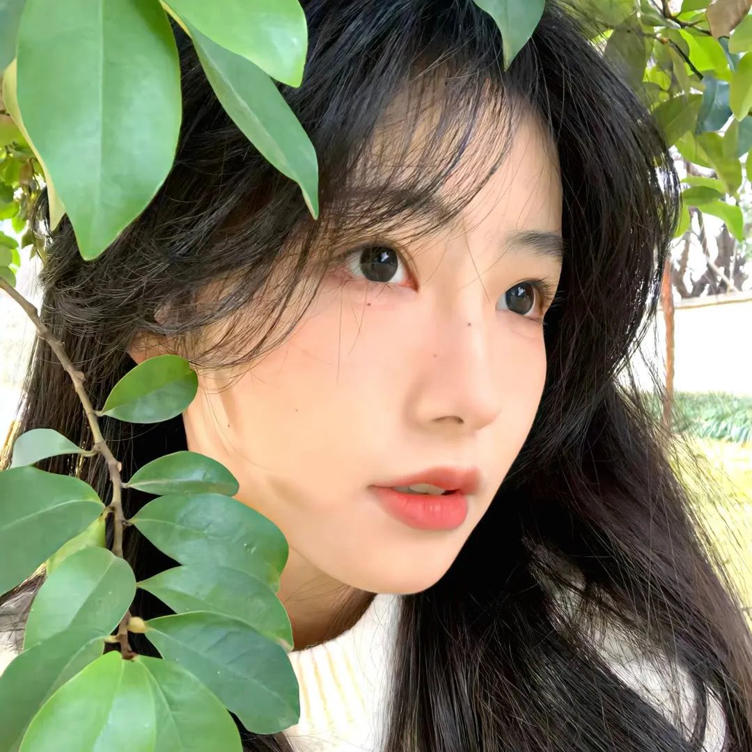 守护解放西第四季